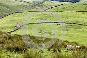 Hills of Darnbrook near Littondale, Yorkshire Dales