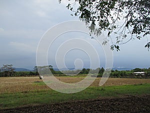 The hills and the dazzling cipunagara river flow