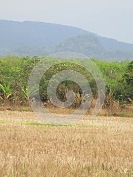 The hills and the dazzling cipunagara river flow