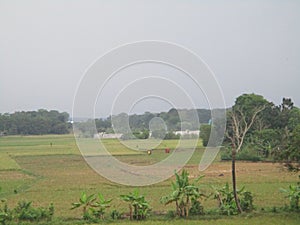 The hills and the dazzling cipunagara river flow