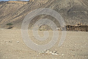 Hills in desert in Marsa Alam