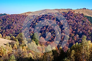 Hills in the fall season