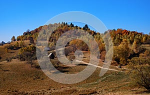 Hills in the fall season