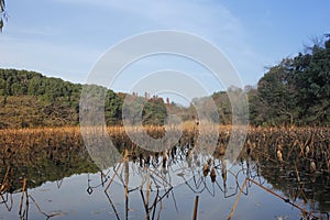 Hills and forest reflecting on the pool with blue sky