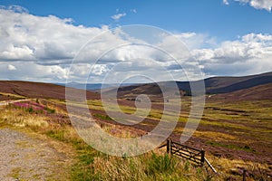 Hills full of heather in Cairnwell Pass in the Scottish Highlands, Scotland