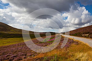 Hills full of heather in Cairnwell Pass in the Scottish Highlands, Scotland