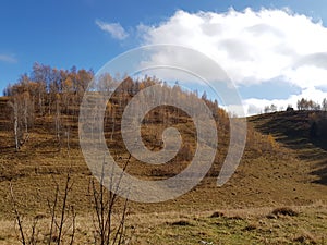 Hills in Fundata Romania