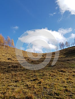 Hills in Fundata Romania