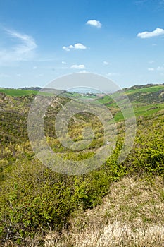 Hills of Imola photo