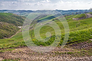 Hills of Imola photo