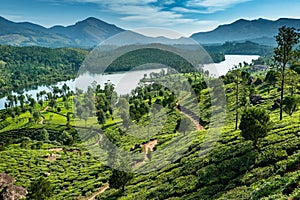 Hills , lake and tee plantations in Kerala