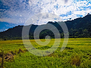 Hills landscape beautiful farm savana