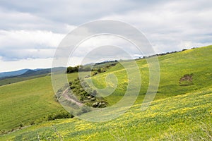 Hills landscape with field and cloudy sky