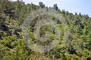 Hills Landscape in Villa General Belgrano, Cordoba photo