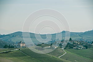 Hills of the Langhe around Barolo