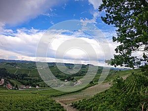 Hills of the Langhe from Novello, Piedmont - Italy photo