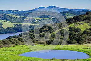 Hills and meadows in Wildcat Canyon Regional Park; San Pablo Reservoir; Mount Diablo in the background, east San Francisco bay,