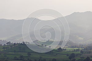 Colline un nebbia 