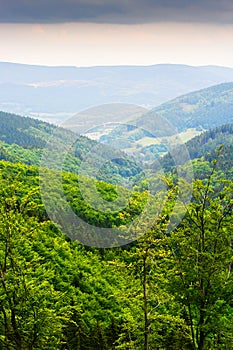 Hills and misty valley in the Stone Mountains. Vast panorama of picturesque countryside landscape in Sudetes, Poland. Aerial view.