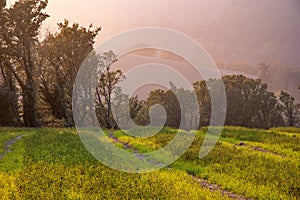 Hills of the Montefeltro, Marche, Italy