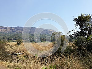 Hills and mountain range,trees greenery landscape view