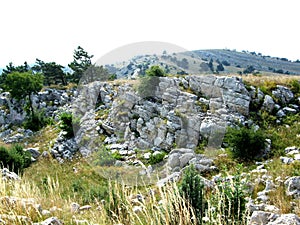 Hills and mountains covered with vegetation