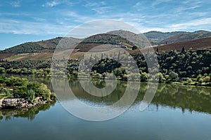 Between hills and mountains and some vineyards and lots of trees, the Douro river in Foz Tua, Tras os Montes Portugal