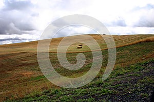 Hills of Palouse