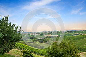 Hills in Piedmont, Italy. Landscape near Calosso, Asti