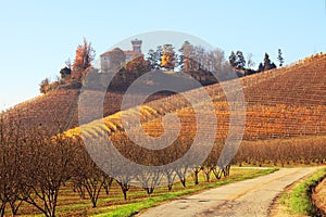 Hills of Piedmont. Northern Italy.