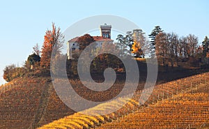 Hills of Piedmont. Northern Italy.