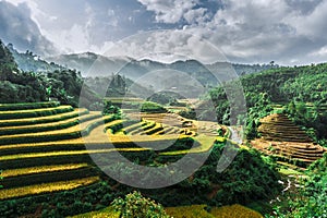 Hills of rice terraces with mountains and clouds at background