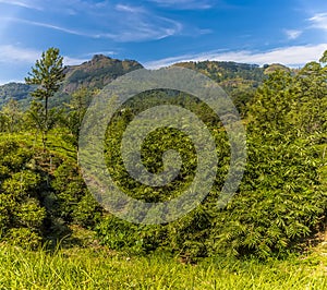 Hills rise above the upland tea country in Sri Lanka, Asia