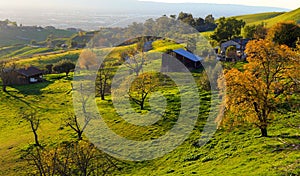 Hills with scattered farm houses, in afternoon light