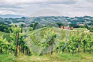 Hills of Southern Styria