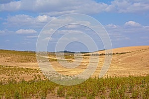 Hills of the Spanish countryside on a suny day with soft clouds photo