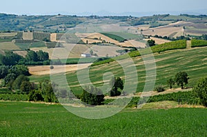 The hills of Tortona