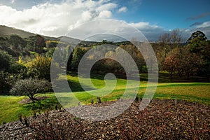 Hills and trees in Mount Lofty botanic Gardens