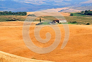 Hills of Tuscany