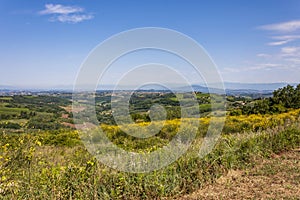 The hills of the Valdelsa or Val d`Elsa, near Certaldo