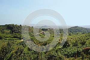 Hills of Valdobbiadene
