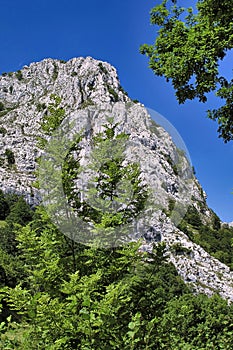 Hills and Valleys Landscape, Redes Natural Park, Spain photo