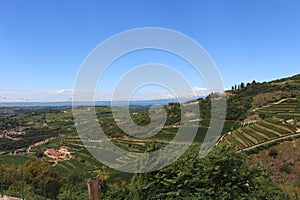 Hills in Valpolicella