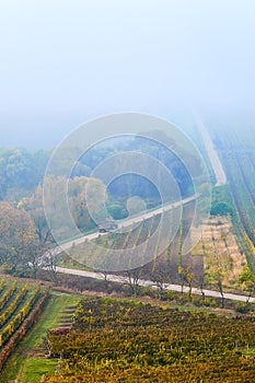 Hills with vineyards and the road disappearing into the fog . Countryside with vineyard and fields with patterns on hills. South
