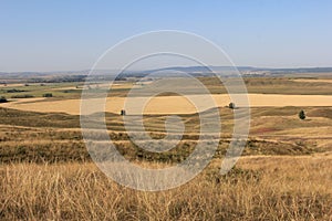 Hills in wheat field / bashkiria bashkortostan, russia