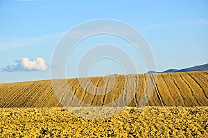 Hills yellow and sky blue