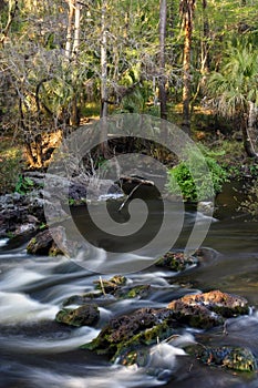 Hillsborough River, Florida