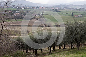 Hillscape in Abruzzo