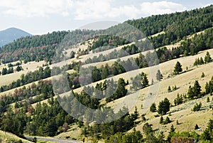 Hillside along Chief Joseph Scenic Byway