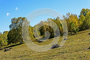 hillside autumn scenery photo